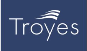 Logo ville de troyes